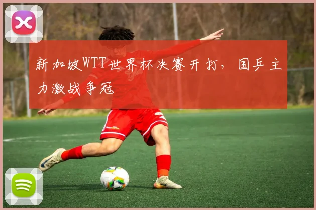 新加坡WTT世界杯决赛开打,国乒主力激战争冠