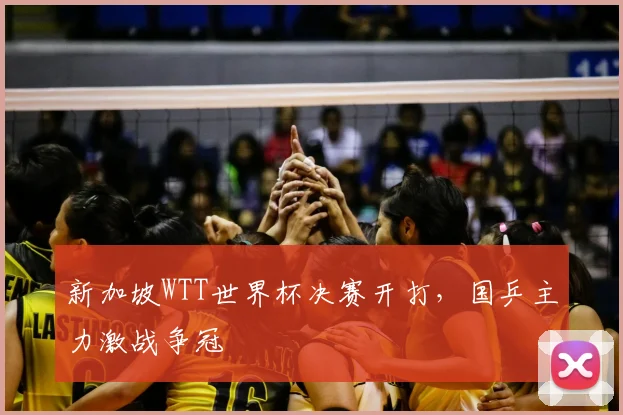 新加坡WTT世界杯决赛开打,国乒主力激战争冠