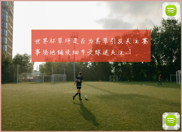 世界杯草坪是否为真草引发关注 赛事场地铺设细节受球迷关注_1