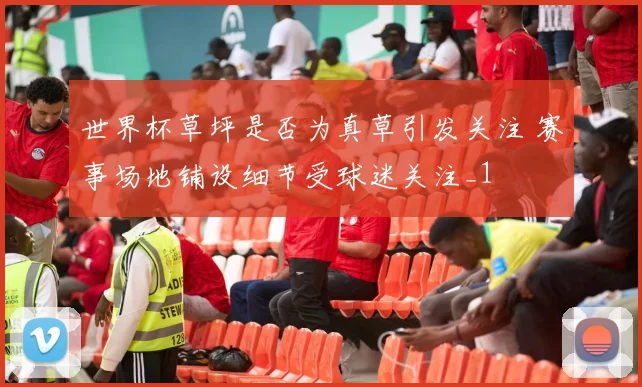 世界杯草坪是否为真草引发关注 赛事场地铺设细节受球迷关注_1